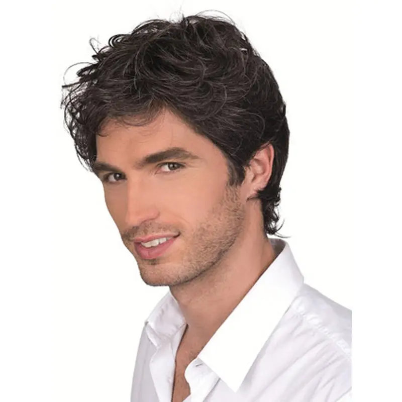 Monofilament Curly Short Men Wigs