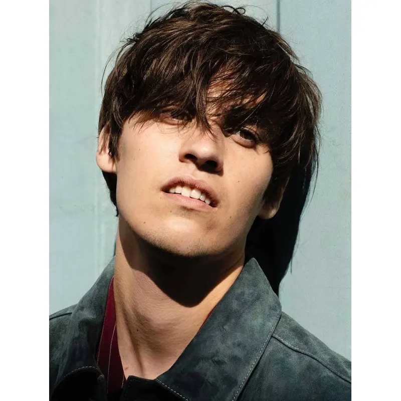Monofilament Brown Wavy Synthetic Short Layered Bowl Cut Men Wigs