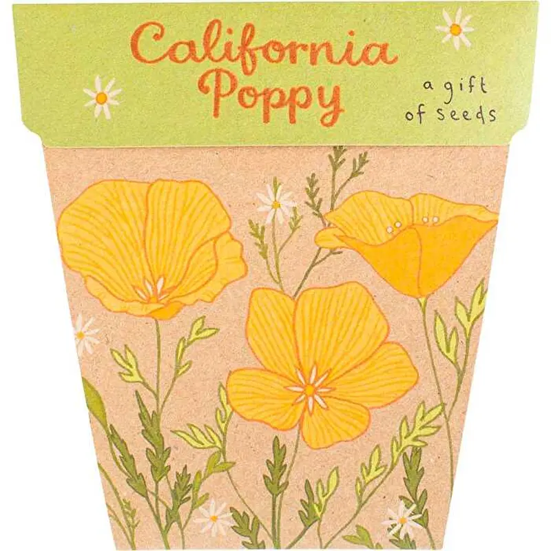 Sow 'n Sow Gift of Seeds California Poppy
