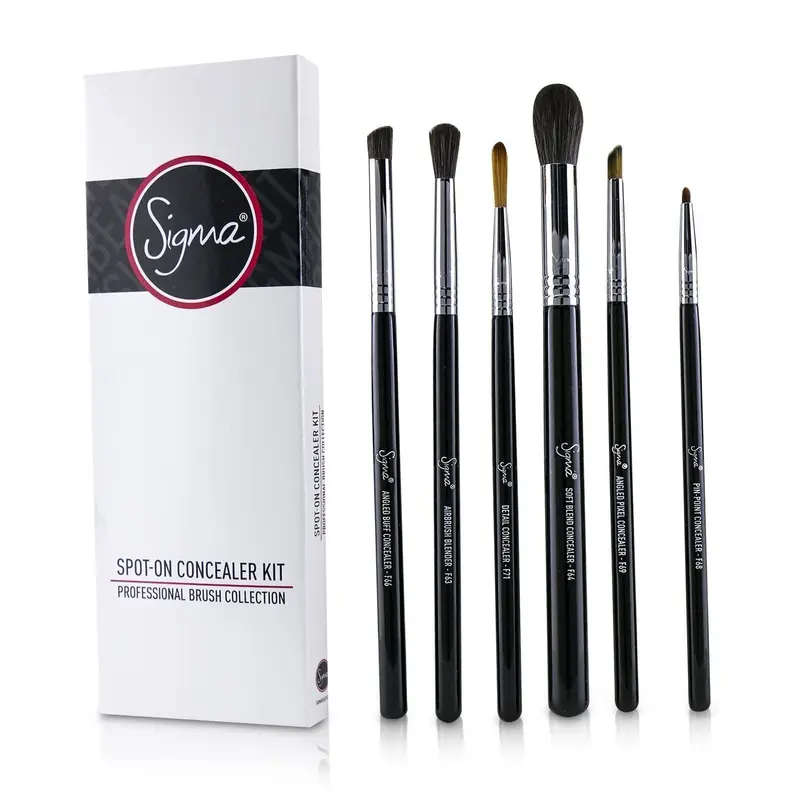 Sigma Beauty Spot On Concealer Kit Professional Brush Collection  6pcs